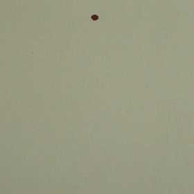 STORES ENROULEUR BLACK-OUT SUR-MESURE PAS CHER EN TUNISIE