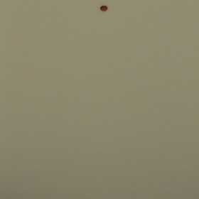 STORES ENROULEUR BLACK-OUT SUR-MESURE PAS CHER EN TUNISIE