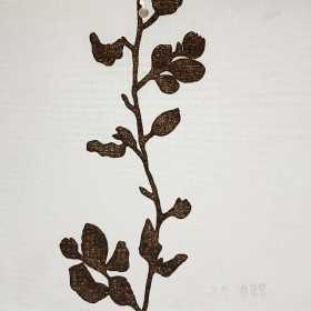 STORE FENETRE à LAMELLES VERTICALES TISSU 250 mm 05 - STORE FENETRE INTERIEUR À LAMELLES VERTICALES EN TISSU SUR-MESURE PAS CHER EN TUNISIE