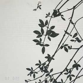 - STORE FENETRE INTERIEUR À LAMELLES VERTICALES EN TISSU SUR-MESURE PAS CHER EN TUNISIE