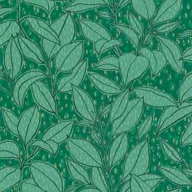 Papier Peint 3D tunisie vente et achat papier peint PAS CHER CHEZ à tunis chez WORKROOM tn TUNIS