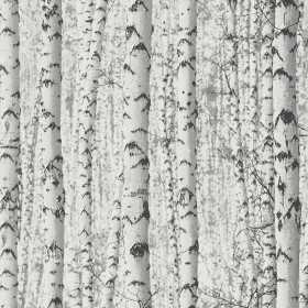 Papier Peint 3D tunisie vente et achat papier peint PAS CHER CHEZ à tunis chez WORKROOM tn TUNIS