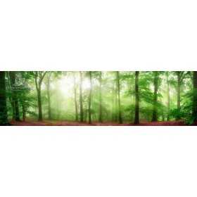 PHOTO MURAL POSTER MURAL PERSONNALISÉ SUR MESURE TUNISIE 3