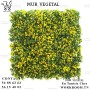 MUR VEGETAL TUNISIE