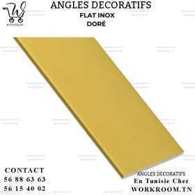 FLAT INOX GOLD DECORATIF PVC EN TUNISIE FLAT INOX GOLD DECORATIF PVC EN TUNISIE