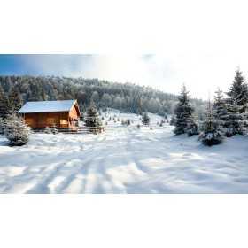 PHOTO MURAL POSTER PERSONNALISE PAS CHER EN TUNISIE CHEZ WORKROOM TUNISIE