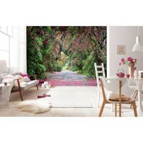 POSTER PHOTO MURAL  "Wicklow Park"