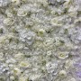 PANNEAU 50X70 MUR VEGETAL FLEUR BLANCHE TUNISIE REF F7

MUR VEGETAL MADE IN GERMANY 100% PREMIUM