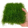 GAZON ARTIFICIEL CONDOR GRASS 2.5 CM