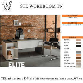 BUREAU ELITE AVEC BLOC DE RANGEMENT BUREAU ELITE AVEC BLOC DE RANGEMENT