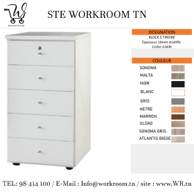 BLOC 5 TIROIRS EN BOIS