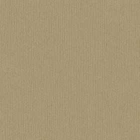 PAPIERS PEINTS RAYURES ET UNI BRONZE ANTIQUE