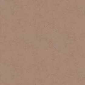 PAPIERS PEINTS RAYURES ET UNI BROWN COPPER