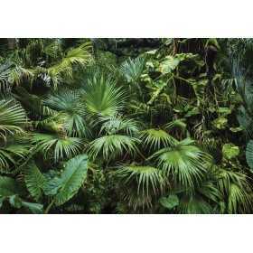 POSTER PHOTO MURALE NATURE PALMIERS TROPICAUX