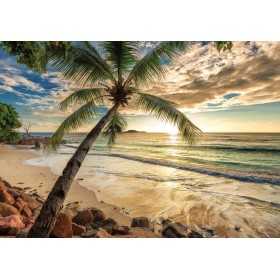 POSTER PHOTO MURALE NATURE PLAGE ET COUCHER DE SOLEIL POSTER PHOTO MURALE NATURE PLAGE ET COUCHER DE SOLEIL