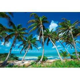 POSTER PHOTO MURALE NATURE PLAGE