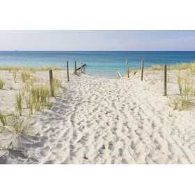 POSTER PHOTO MURALE NATURE DUNE DE SABLE PLAGE