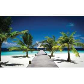 POSTER PHOTO MURALE NATURE MALDIVES