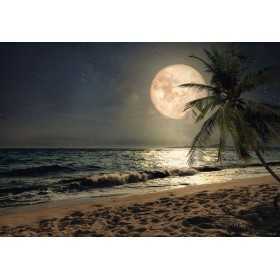 POSTER PHOTO MURALE NATURE PLAGE ET LUNE