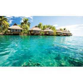 POSTER PHOTO MURALE NATURE MER TROPICAL