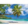 POSTER PHOTO MURALE NATURE PLAGE TROPICAL VUE PANORAMIQUE