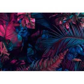 POSTERS PHOTO MURALE DESIGN MODERNE FEUILLES TROPICALE