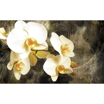 POSTERS PHOTO MURALE DESIGN MODERNE FLEURS VANILLE