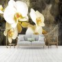 POSTERS PHOTO MURALE DESIGN MODERNE FLEURS VANILLE