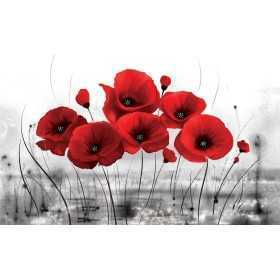 POSTERS PHOTO MURALE DESIGN MODERNE FLEURS ROUGE