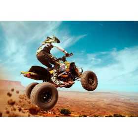 POSTER ET PHOTO MURALE DESIGN QUAD POSTER ET PHOTO MURALE DESIGN QUAD