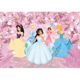 POSTER ET PHOTO MURALE ENFANT DISNEY PRINCESS