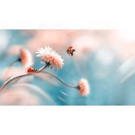 PHOTO MURAL POSTER MURAL PERSONNALISÉ SUR MESURE TUNISIE