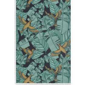 PAPIER PEINT TUNISIE OISEAU COLIBRI BLEU NUIT