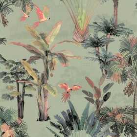 PAPIER PEINT TUNISIE  JALAPA FOND VERT SAUGE TROPICAL PAPIER PEINT TUNISIE  JALAPA FOND VERT SAUGE TROPICAL