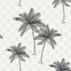 PAPIER PEINT TUNISIE VEGETAL PALMIER NOIR FOND GRÈGE
