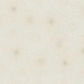 Papier Peint 3D tunisie vente et achat papier peint PAS CHER CHEZ à tunis chez WORKROOM tn TUNIS